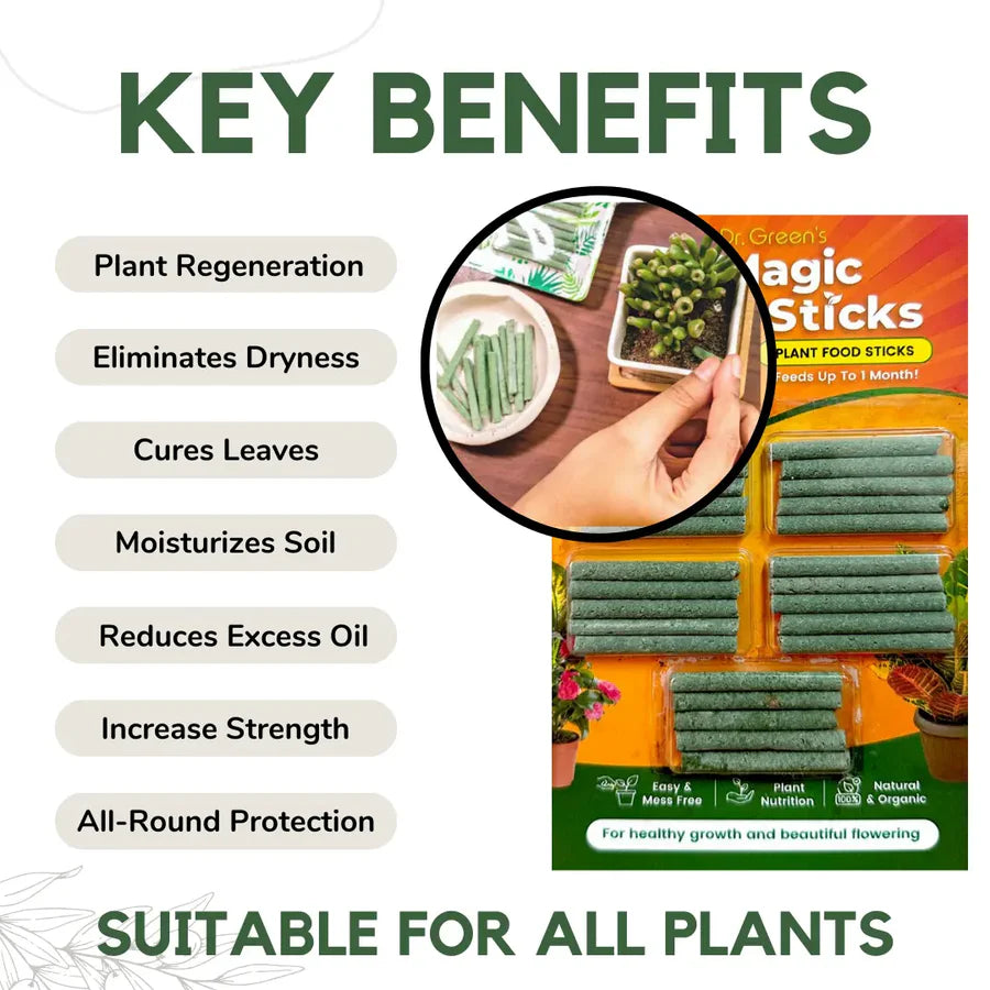 Magic Plant Sticks ( pack of 2 - 25pc )