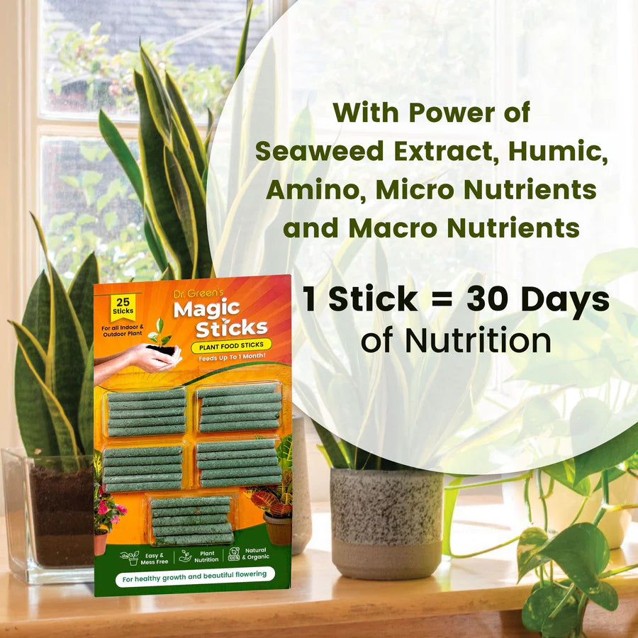 Magic Plant Sticks ( pack of 2 - 25pc )