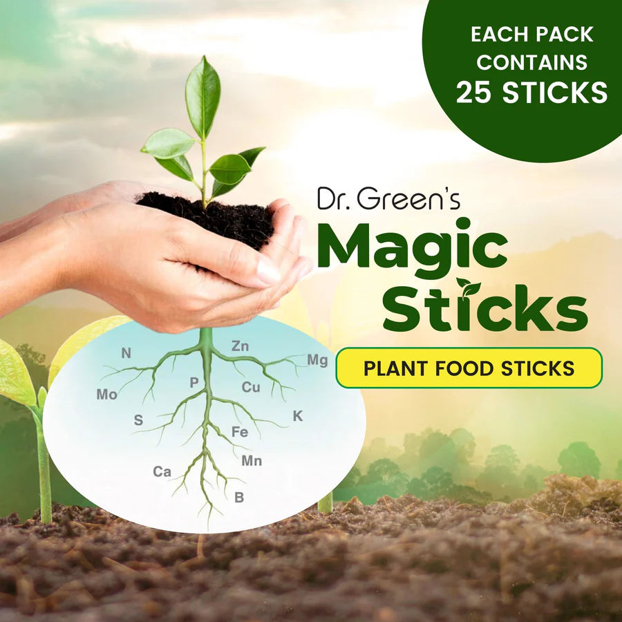 Magic Plant Sticks ( pack of 2 - 25pc )